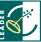 Leader